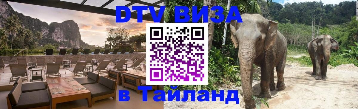 Visa в Таиланд 